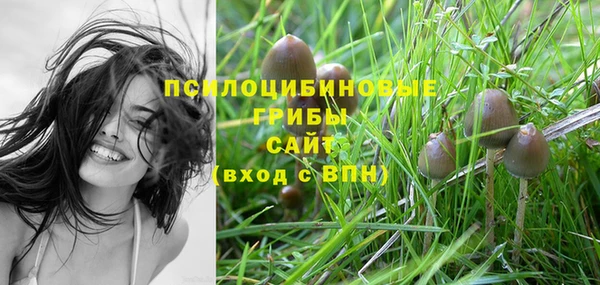 молекула духа Дмитров