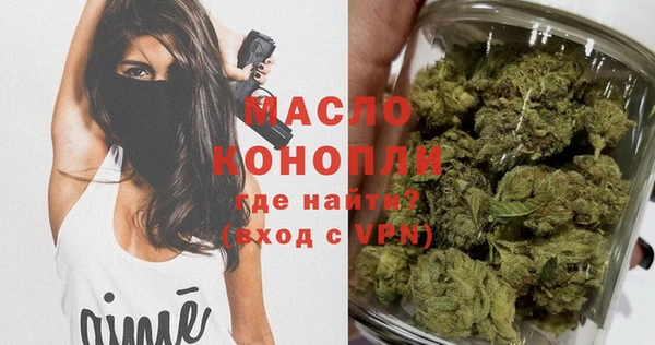 дмт Дмитровск