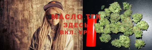 молекула духа Дмитров