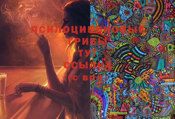 дмт Дмитровск