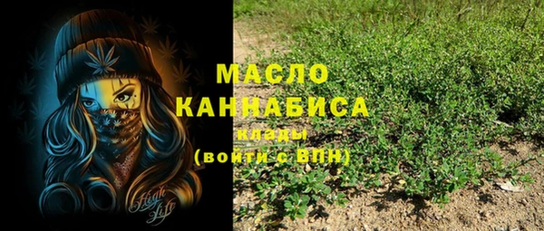 молекула духа Дмитров